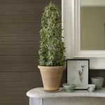 A-Street Prints Mai Dark Grey Abaca Grasscloth Wallpaper | Wallpaper Twins A-Street Prints Mai Dark Grey Abaca Grasscloth Wallpaper - SKU 2972-86103