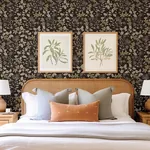 A-Street Prints Mildred Black Botanical Trail Wallpaper - SKU 4155-72817