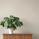 A-Street Prints Naim Beige Solid Texture Wallpaper - SKU 4202-484533