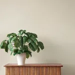A-Street Prints Naim Ivory Solid Texture Wallpaper - SKU 4202-484519