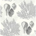 A-Street Prints Nauset Black Seashell Shores Wallpaper - SKU 2927-81200