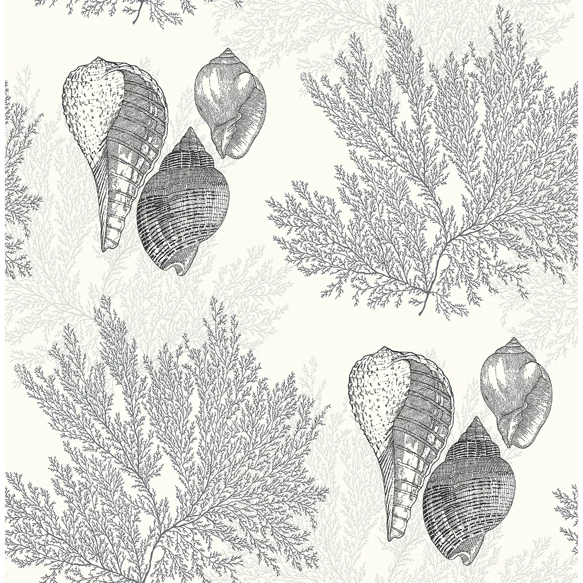 A-Street Prints Nauset Black Seashell Shores Wallpaper - SKU 2927-81200