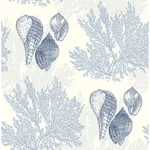 A-Street Prints Nauset Blue Seashell Shores Wallpaper - SKU 2927-81202