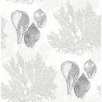 A-Street Prints Nauset Cream Seashell Shores Wallpaper - SKU 2927-81205