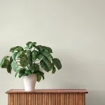 A-Street Prints Oren Ivory Shimmering Striations Wallpaper - SKU 4202-844306