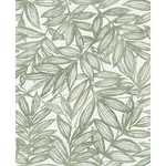 A-Street Prints Rhythmic Sage Leaf Wallpaper | Wallpaper Twins A-Street Prints Rhythmic Sage Leaf Wallpaper - SKU 4146-27231