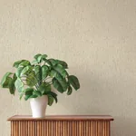 A-Street Prints Roison Bone Birch Bark Wallpaper - SKU 4202-571073
