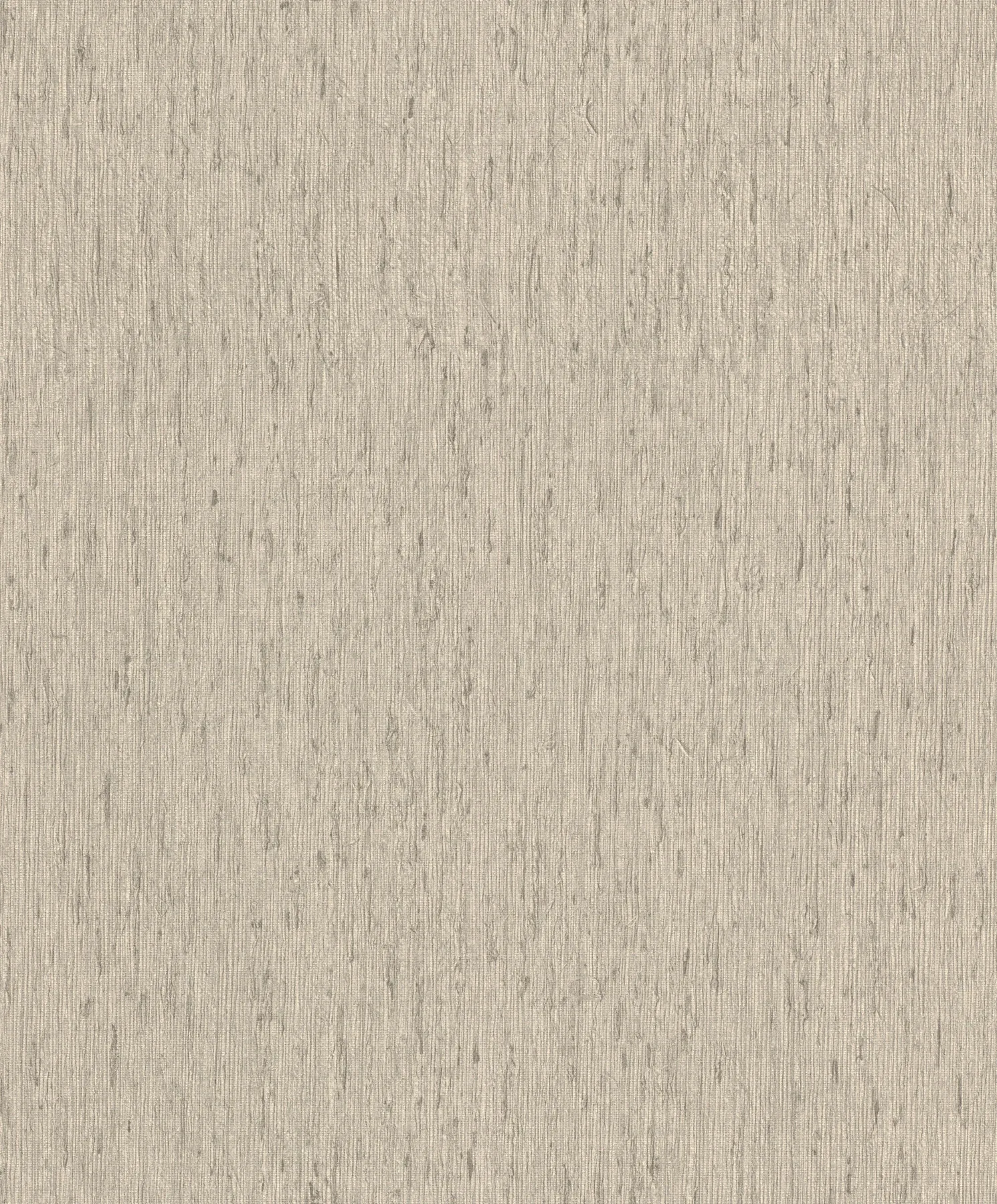 A-Street Prints Roison Dove Birch Bark Wallpaper - SKU 4202-571035