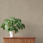 A-Street Prints Roison Dove Birch Bark Wallpaper | Wallpaper Twins A-Street Prints Roison Dove Birch Bark Wallpaper - SKU 4202-571035