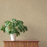 A-Street Prints Roison Khaki Birch Bark Wallpaper | Wallpaper Twins A-Street Prints Roison Khaki Birch Bark Wallpaper - SKU 4202-571066