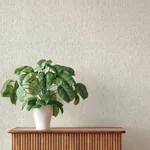 A-Street Prints Roison Light Grey Birch Bark Wallpaper - SKU 4202-571042