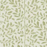 A-Street Prints Sagecrest Sage Sapling Wallpaper | Wallpaper Twins A-Street Prints Sagecrest Sage Sapling Wallpaper - SKU 4177-83305