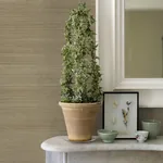 A-Street Prints Sakiya Neutral Sisal Grasscloth Wallpaper | Wallpaper Twins A-Street Prints Sakiya Neutral Sisal Grasscloth Wallpaper - SKU 2972-86136
