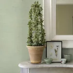 A-Street Prints Sakiya Seafoam Sisal Grasscloth Wallpaper | Wallpaper Twins A-Street Prints Sakiya Seafoam Sisal Grasscloth Wallpaper - SKU 2972-86137