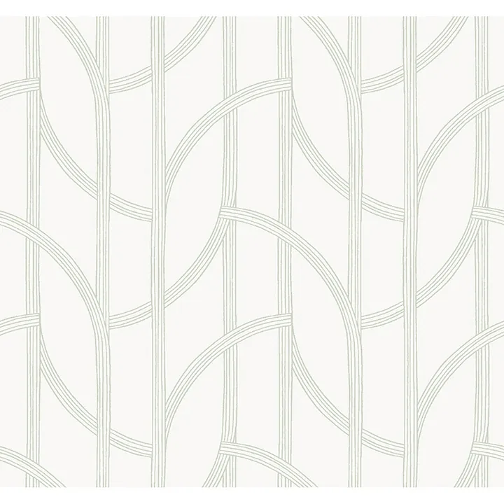 4172-82009 | Salvo Light Green Curved Contours Wallpaper