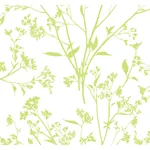 A-Street Prints Southport Chartreuse Delicate Branches Wallpaper - SKU 2927-80704
