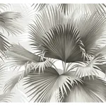 A-Street Prints Summer Palm Charcoal Tropical Wallpaper - SKU 2927-40100