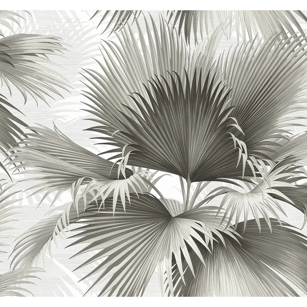 2927-40100 | Summer Palm Charcoal Tropical Wallpaper