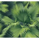 A-Street Prints Summer Palm Dark Green Tropical Wallpaper - SKU 2927-40104