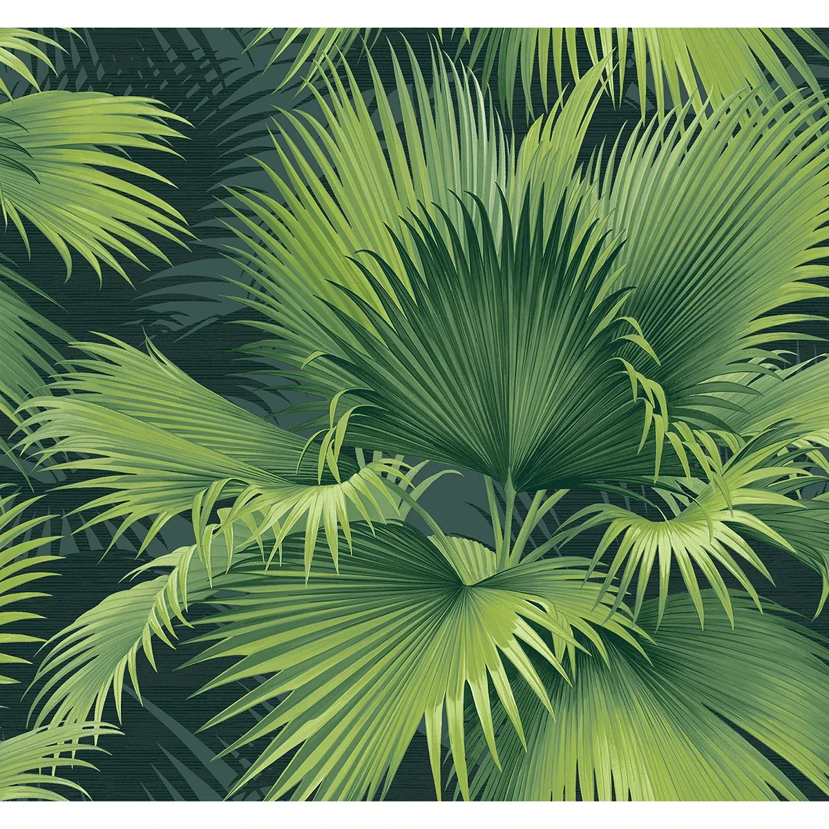 2927-40104 | Summer Palm Dark Green Tropical Wallpaper