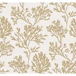 A-Street Prints Tortuga Gold Coral Weave Wallpaper - SKU 4172-82002