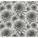 A-Street Prints Umbra Charcoal Floral Wallpaper | Wallpaper Twins A-Street Prints Umbra Charcoal Floral Wallpaper - SKU 2861-87518