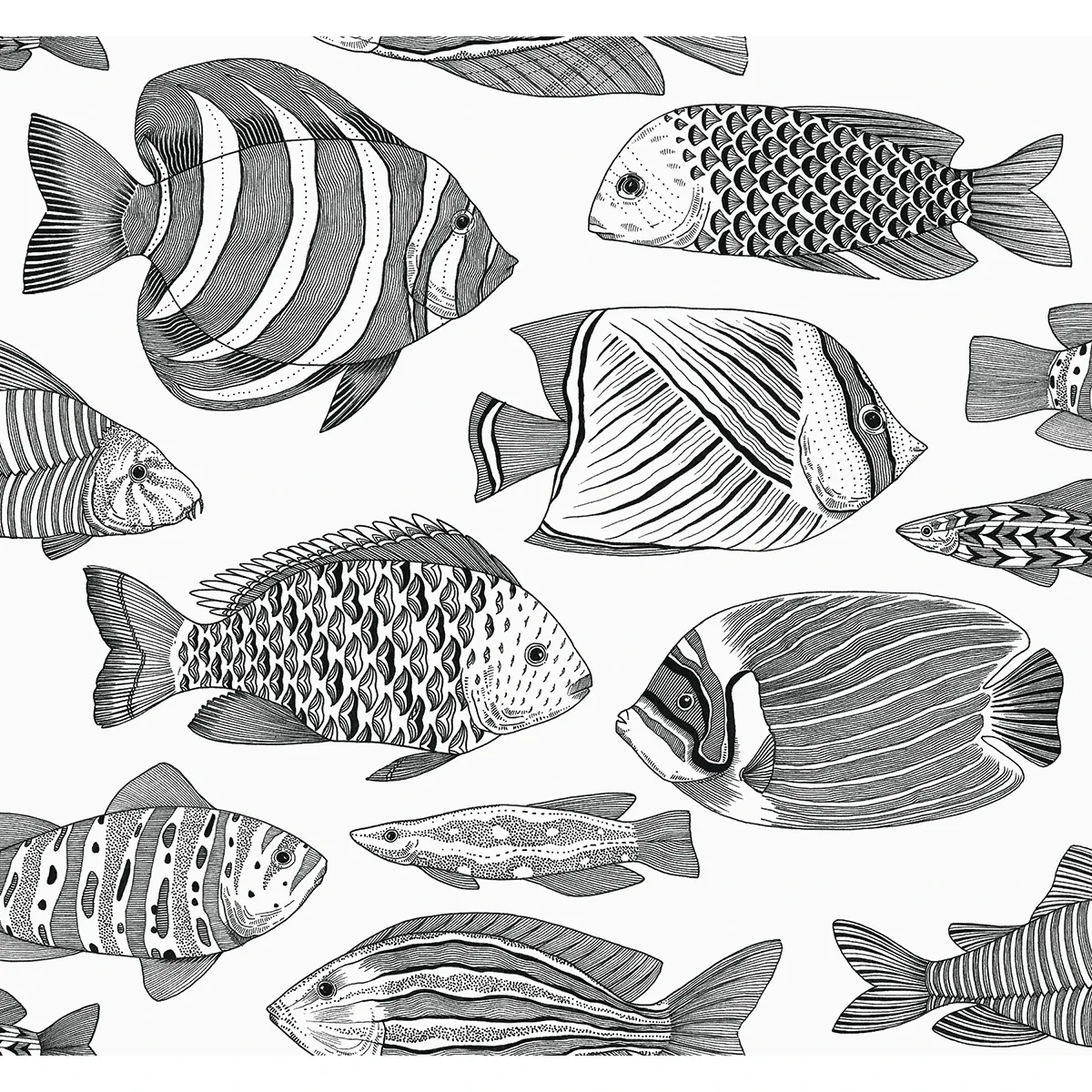 2927-80200 | Wailea Black Tropical School Wallpaper
