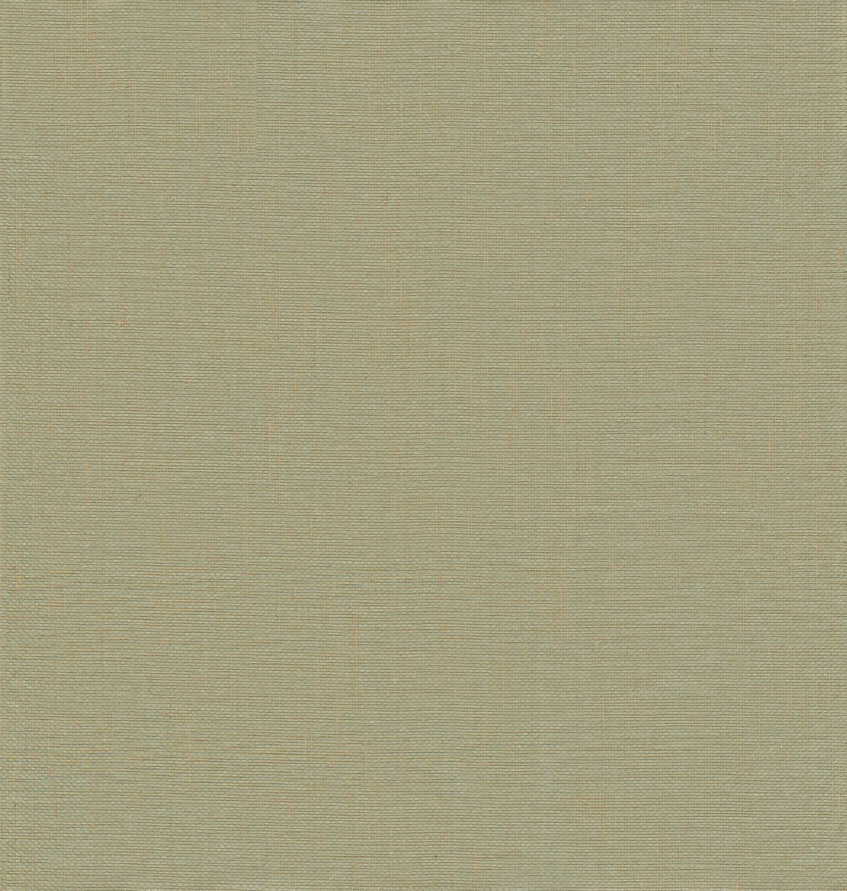 2923-86143 | Yanyu Sage Paper Weave Wallpaper