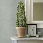 A-Street Prints Yawen Green String Wallpaper - SKU 2972-86173