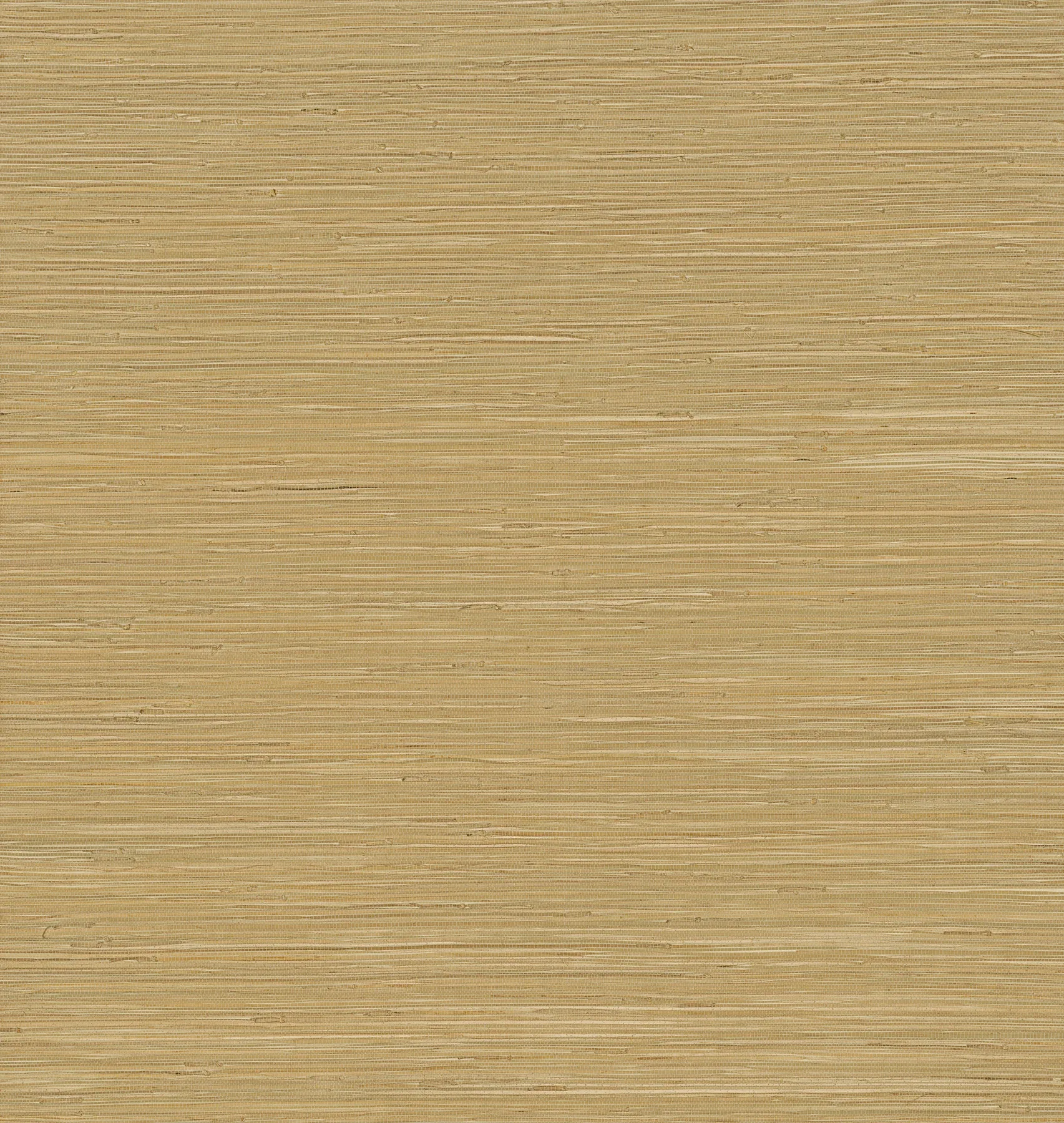 2923-88045 | Zhilan Olive Grasscloth Wallpaper