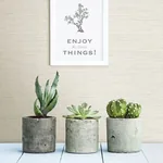 Brewster Home Fashions Agave Dove Grasscloth Wallpaper | Wallpaper Twins Brewster Home Fashions Agave Dove Grasscloth Wallpaper - SKU 3117-24281