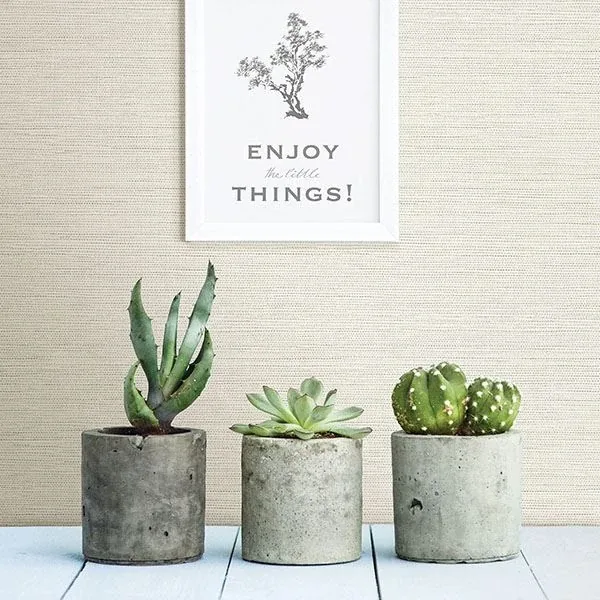 Brewster Home Fashions Agave Dove Grasscloth Wallpaper | Wallpaper Twins Brewster Home Fashions Agave Dove Grasscloth Wallpaper - SKU 3117-24281