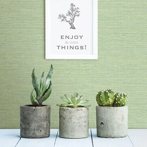 Brewster Home Fashions Agave Green Grasscloth Wallpaper | Wallpaper Twins Brewster Home Fashions Agave Green Grasscloth Wallpaper - SKU 3117-24284