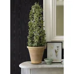 Brewster Home Fashions Angelina Black Moire Wallpaper - SKU 4058-24819