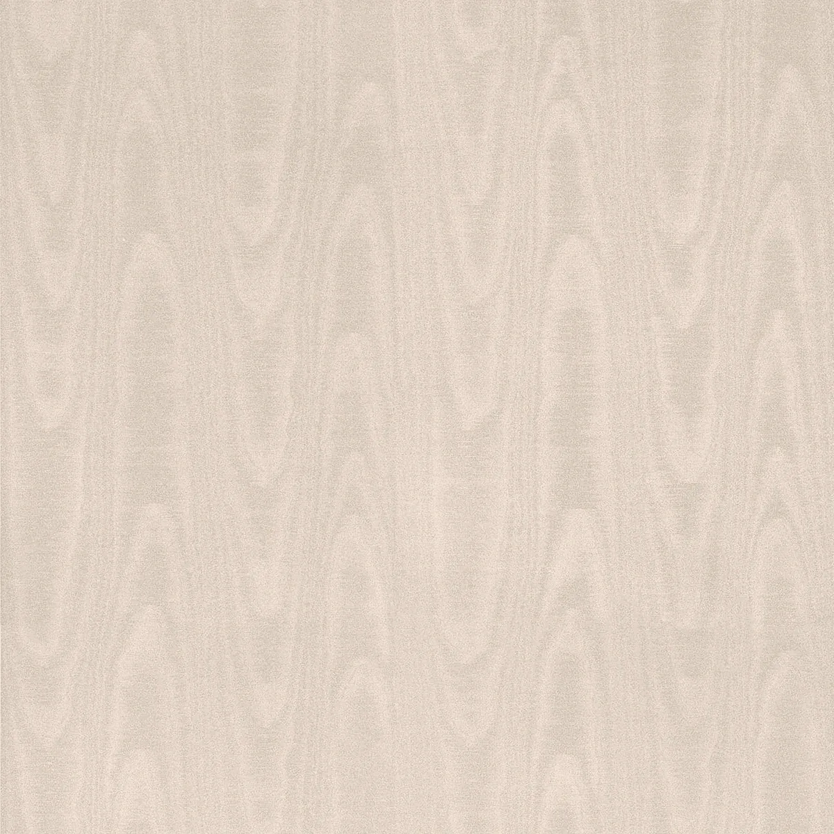 4058-24815 | Angelina Rose Moire Wallpaper