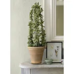 Brewster Home Fashions Angelina White Moire Wallpaper - SKU 4058-24814