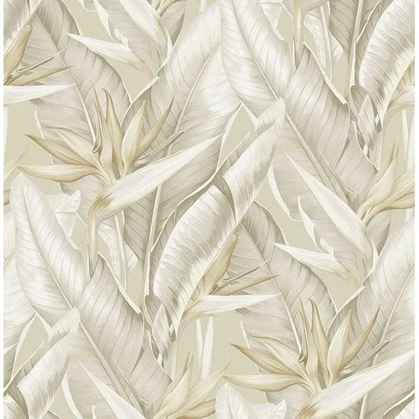 Brewster Home Fashions Arcadia Beige Leaf Wallpaper - SKU PS40205