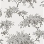 Brewster Home Fashions Ashdown Grey Tree Wallpaper | Wallpaper Twins Brewster Home Fashions Ashdown Grey Tree Wallpaper - SKU M1671