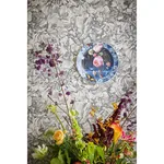 Brewster Home Fashions Auguste Charcoal Floral Wallpaper | Wallpaper Twins Brewster Home Fashions Auguste Charcoal Floral Wallpaper - SKU 307340