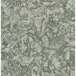 Brewster Home Fashions Auguste Green Floral Wallpaper | Wallpaper Twins Brewster Home Fashions Auguste Green Floral Wallpaper - SKU 307346