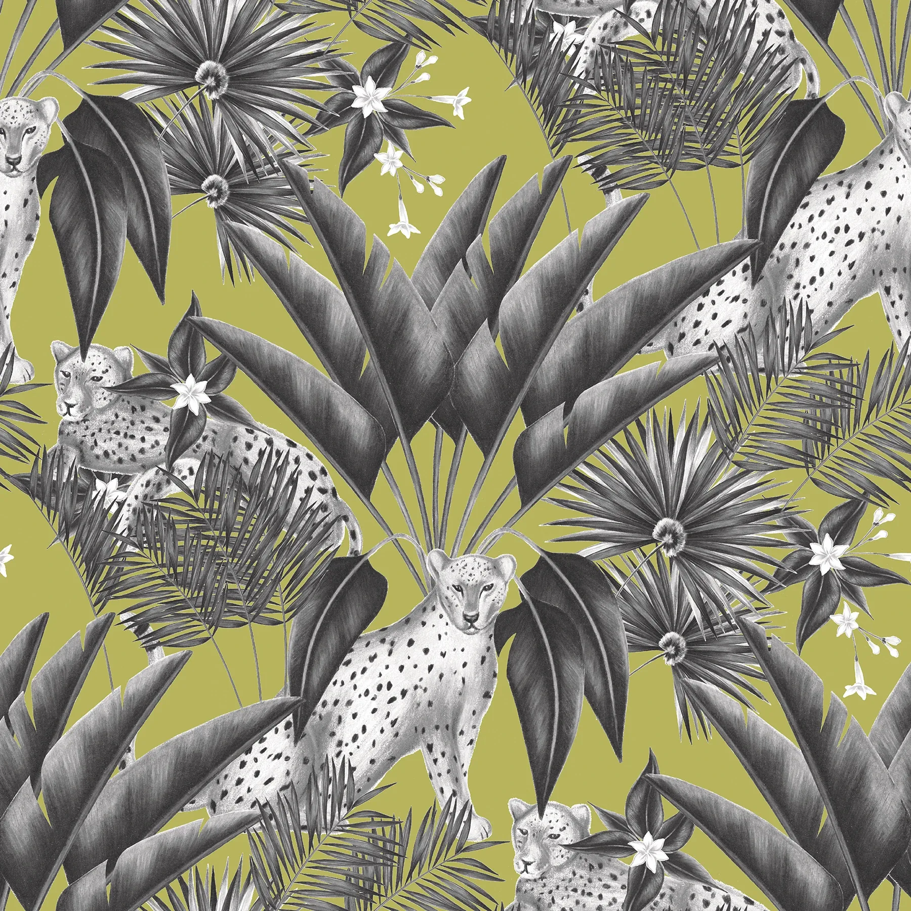Brewster Home Fashions Augustus Grey Jungle Cheetah Wallpaper - SKU WLD53105W