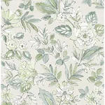 Brewster Home Fashions Begonia Sea Green Floral Trail Wallpaper | Wallpaper Twins Brewster Home Fashions Begonia Sea Green Floral Trail Wallpaper - SKU 4148-27424