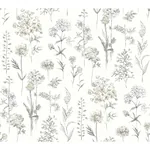 Brewster Home Fashions Bergamot Light Grey Wildflower Wallpaper | Wallpaper Twins Brewster Home Fashions Bergamot Light Grey Wildflower Wallpaper - SKU 4134-72501