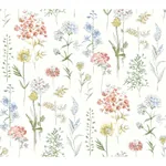Brewster Home Fashions Bergamot Multicolor Wildflower Wallpaper | Wallpaper Twins Brewster Home Fashions Bergamot Multicolor Wildflower Wallpaper - SKU 4134-72500