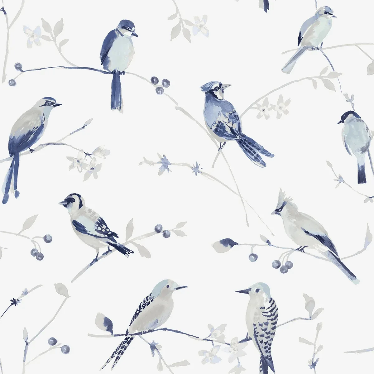 Brewster Home Fashions Birdsong Blue Trail Wallpaper - SKU 3124-13852