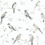 Brewster Home Fashions Birdsong Grey Trail Wallpaper | Wallpaper Twins Brewster Home Fashions Birdsong Grey Trail Wallpaper - SKU 3124-13853