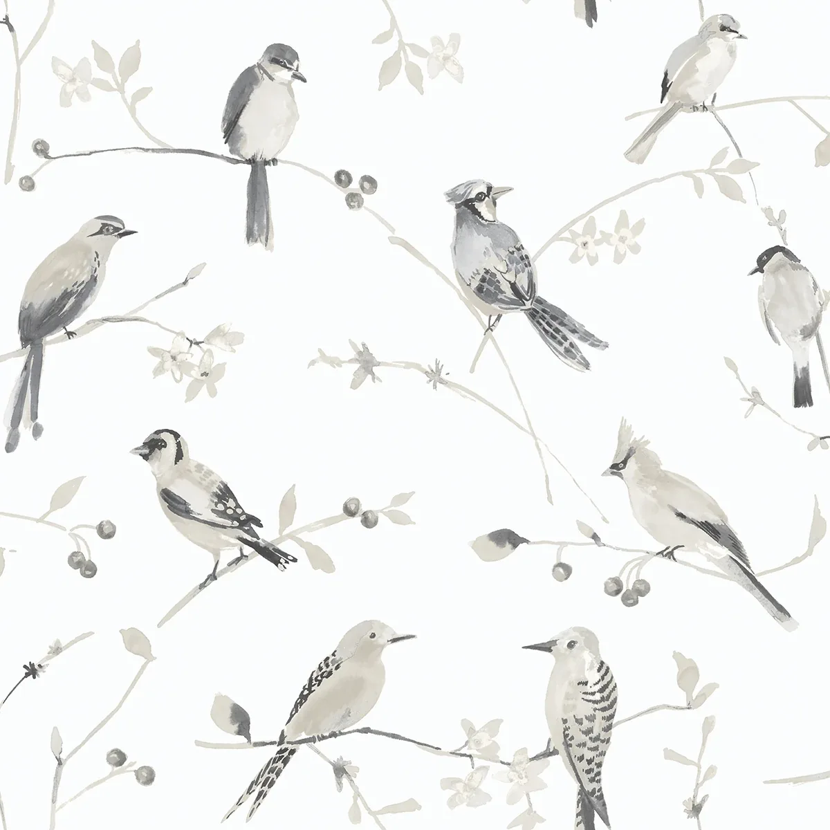 3124-13853 | Birdsong Grey Trail Wallpaper