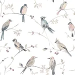 Brewster Home Fashions Birdsong Mauve Trail Wallpaper | Wallpaper Twins Brewster Home Fashions Birdsong Mauve Trail Wallpaper - SKU 3124-13854