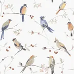 Brewster Home Fashions Birdsong Orange Trail Wallpaper | Wallpaper Twins Brewster Home Fashions Birdsong Orange Trail Wallpaper - SKU 3124-13851