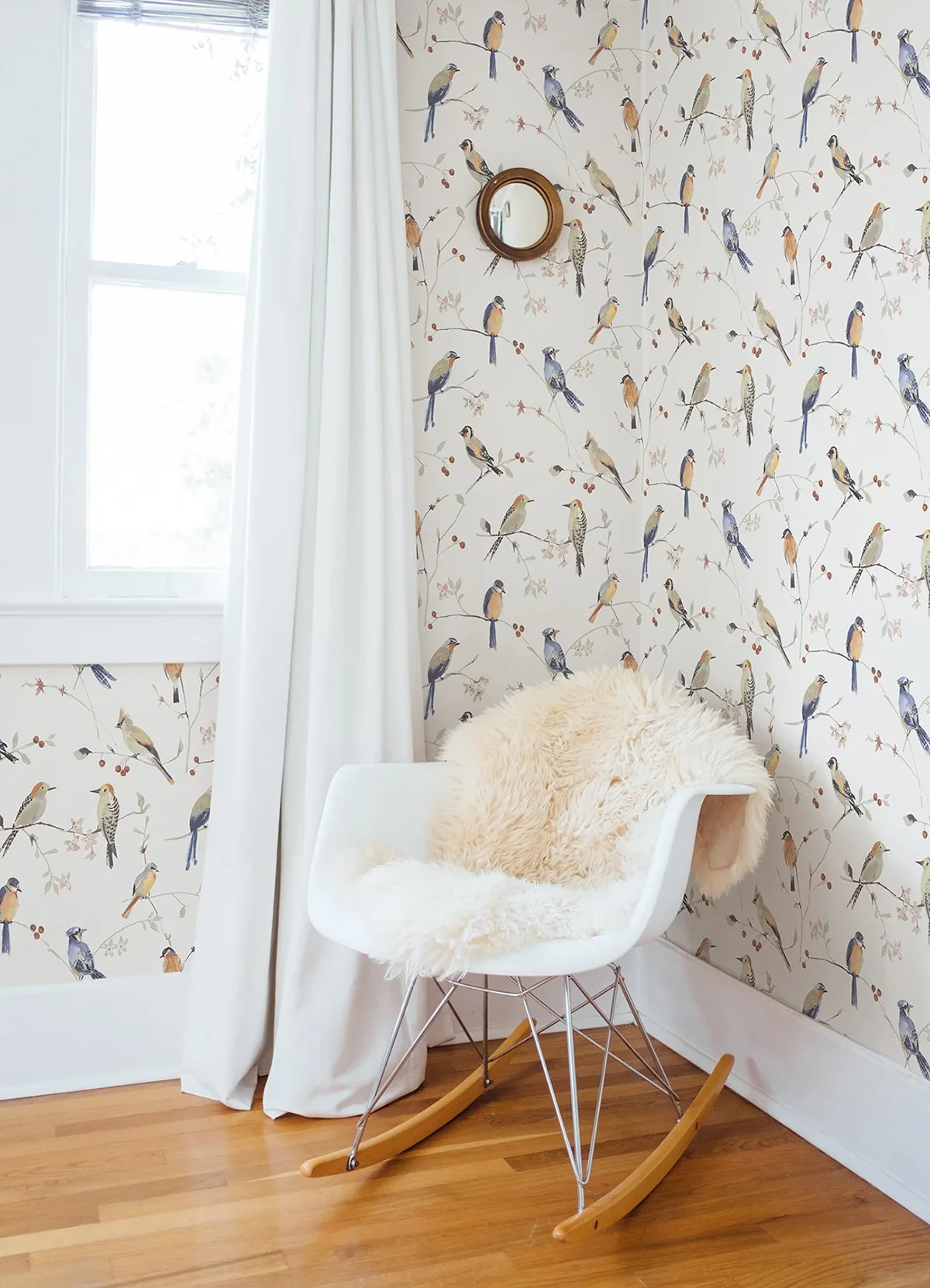 Brewster Home Fashions Birdsong Orange Trail Wallpaper | Wallpaper Twins Brewster Home Fashions Birdsong Orange Trail Wallpaper - SKU 3124-13851